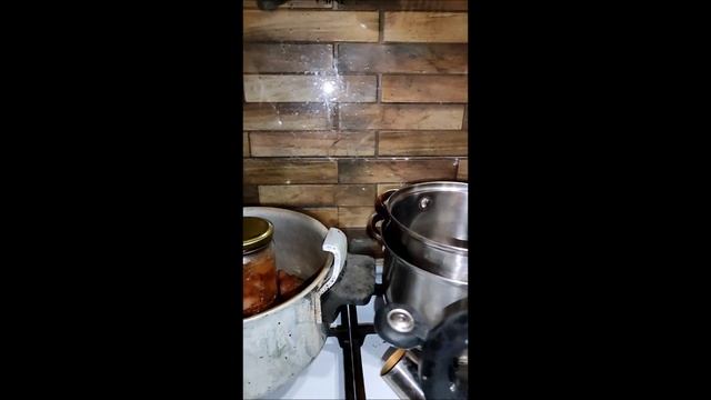 Тушенка из гуся в скороварке. смотреть онлайн