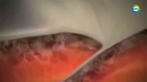 Безумные факты!!! Откуда это взялось на земле??? То что вам никогда не расскажут в школе!