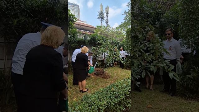 Акция "Дерево Победы" смотреть онлайн