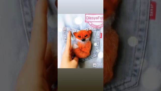 Брошь из шерсти лиса смотреть онлайн
