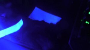 Поиск чужой кончи с ультрафиолетом