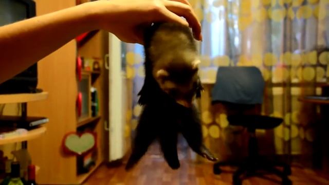 Вот что значит спать как убитый смотреть онлайн