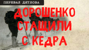 Перевал Дятлова. Дорошенко стащили за ноги с кедра