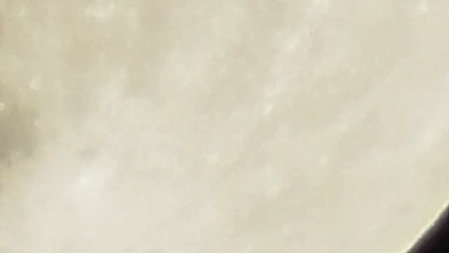 Super Moon Eve November 12, 2016 7:33PM смотреть онлайн