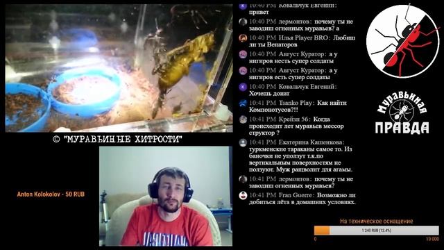 СТРИМ. Три КРУЖЕЧКИ чая! от МУРАВЬИНЫХ ХИТРОСТЕЙ. смотреть онлайн