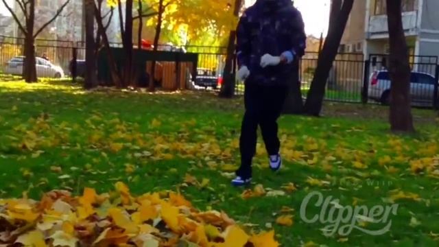 Сальто в листья. Что он смахнул в коменты ?? смотреть онлайн