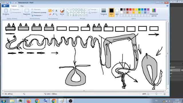 КАК ПРОИСХОДИТ ТРАНЗИТ ПИЩИ ПО ЖКТ . смотреть онлайн