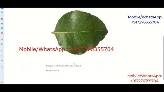Medicinal Leaf Type Classification Using Image Processing Python Project With Source Code смотреть онлайн