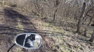 Скутеретта в деле ?