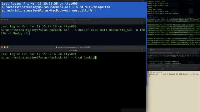 MQTT container pub/sub with go script смотреть онлайн