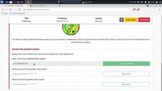 Pickle Rick, funniest shit Ive ever seen | pwning tryhackme pickle rick | 0x1337- IIITH Hacking Clu смотреть онлайн