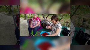 Как правильно собирать черешни