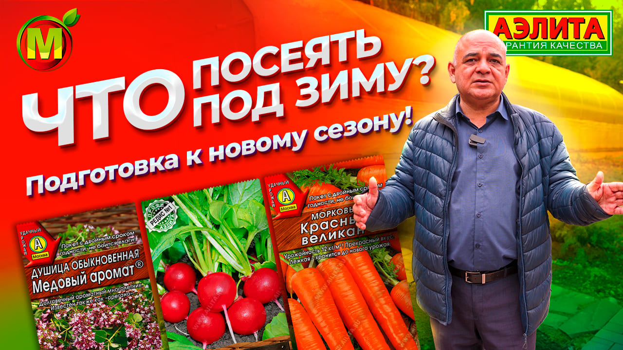 ПОДЗИМНИЙ ПОСЕВ: что посеять, когда и как? Расскажем основные правила! смотреть онлайн