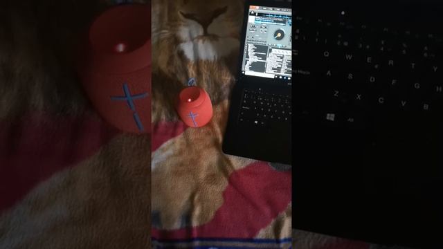 Ue wonderboom vs Sony srs xb21 смотреть онлайн