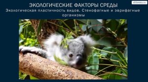 Учебный курс экология. Лекция 4. Экологические факторы среды