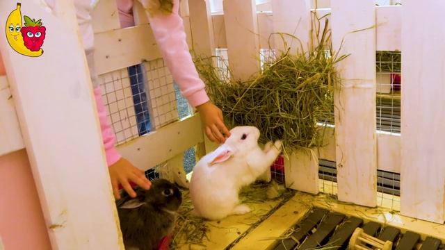 Кролики из "ЗайКафе"))) Полина Малина и Юлиана Банана.Детский и развлекательный канал для малышей. смотреть онлайн
