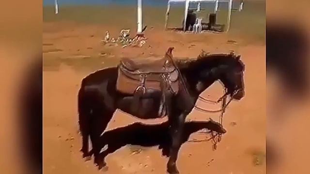 THE BEST JOKES 2017 AUGUST ЛУЧШИЕ ПРИКОЛЫ 2017 АВГУСТ 2 смотреть онлайн