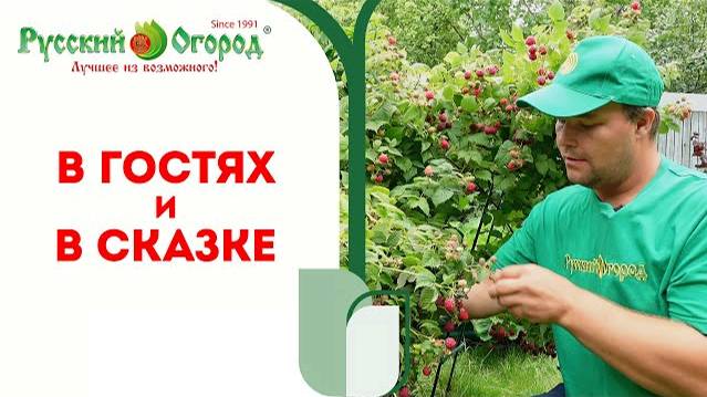 У главного огородника Русского Огорода. смотреть онлайн