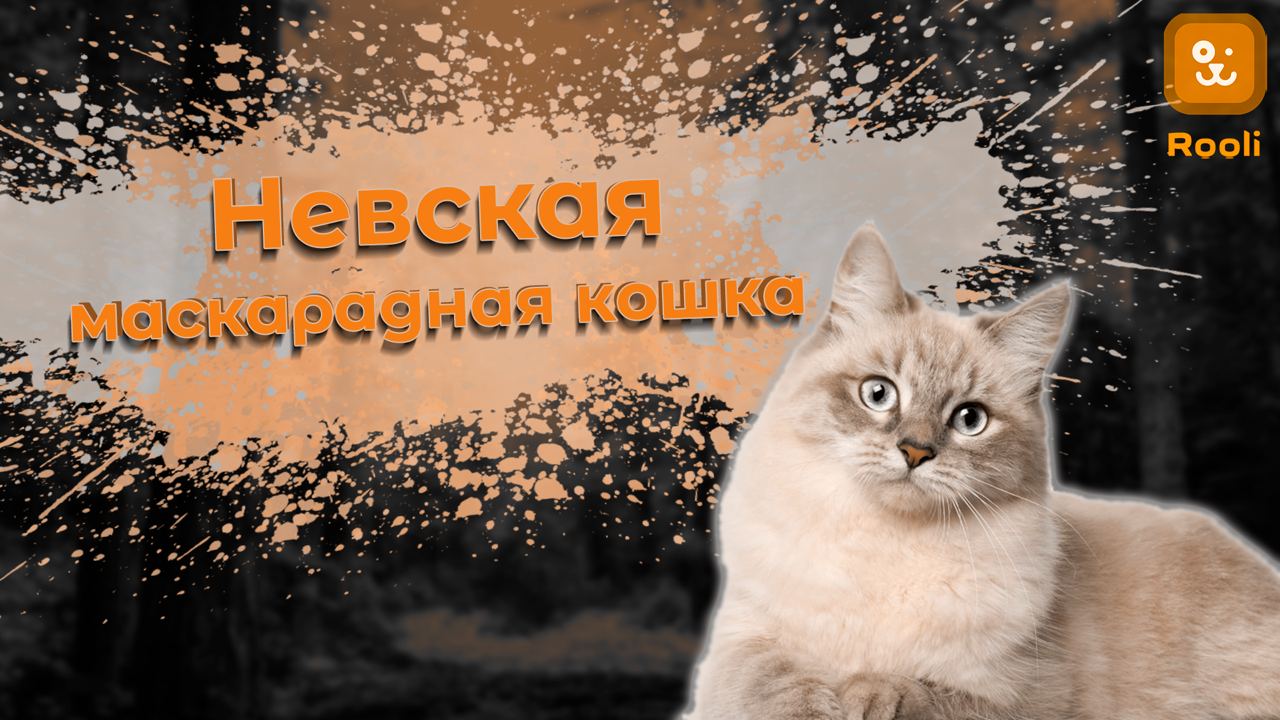 История и происхождение: Невская Маскарадная кошка в подробностях смотреть онлайн