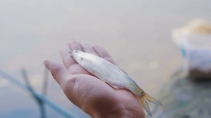 13 ЛАЙФХАКОВ ДЛЯ РЫБАЛКИ!!!