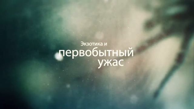 Краеведческий паук смотреть онлайн