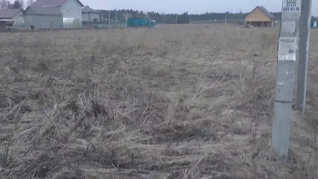 Пару слов о сухой траве. смотреть онлайн