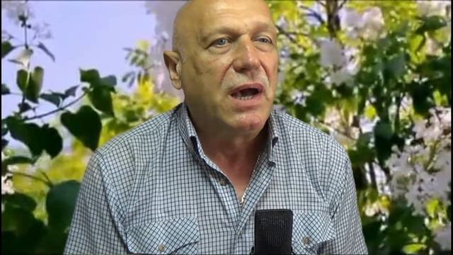 Одинокая ветка сирени смотреть онлайн