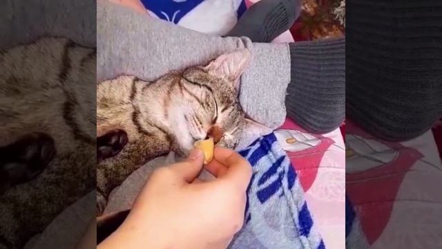 Когда сон становится реальностью смотреть онлайн