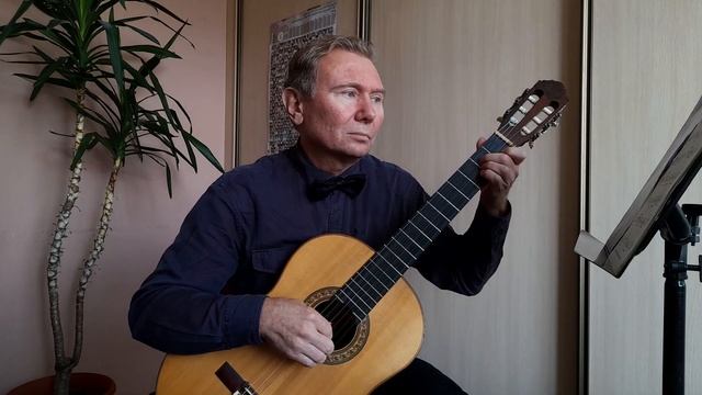 Владимир Матецкий. Лаванда (на гитаре). Обработка Олега Копенкова смотреть онлайн