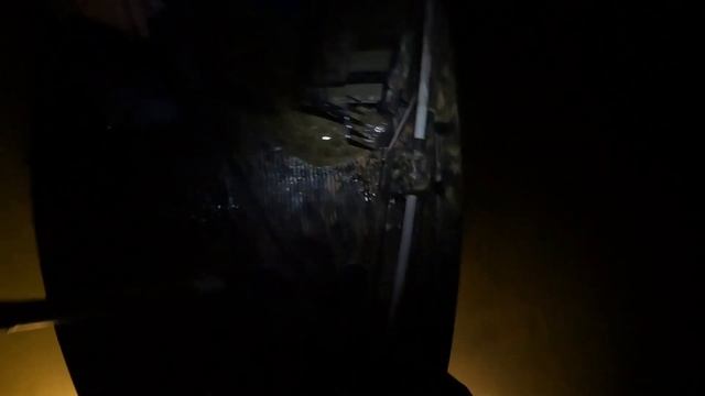 I LOVE GIGGING these FISH!!! (CRAZY RESULTS) смотреть онлайн