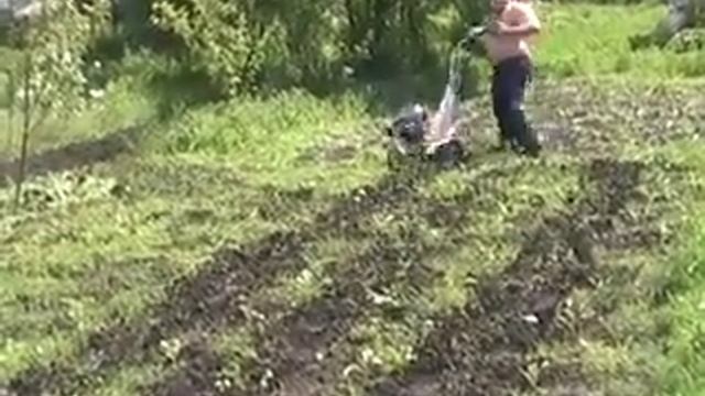 между рядная обработка капусты мини мотоблоком