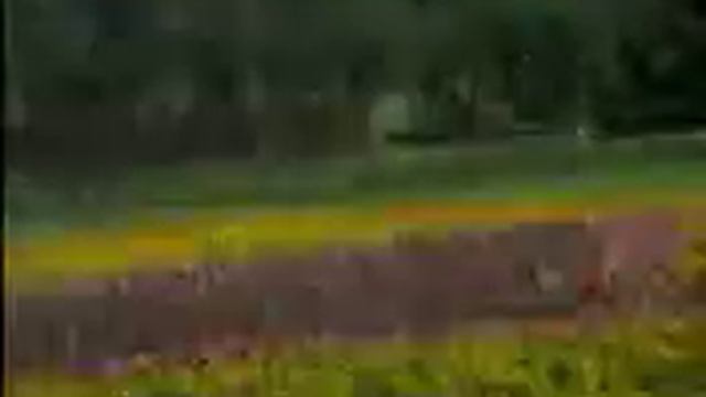 The Twin Singers - Lagu Rohani Terbaru - Kau Mahkotaiku (He Crowned Me) смотреть онлайн