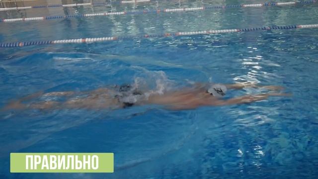 6 фишек в плавании брассом, которые улучшат твою технику до 100% смотреть онлайн