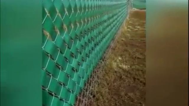 Дачники, берем на заметку идею! Обновление забора из сетки-рабицы смотреть онлайн