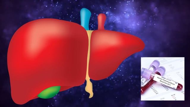 ALT test එක ගැන | අක්මා රොග | liver function tests(Sinhala clear explanation) смотреть онлайн
