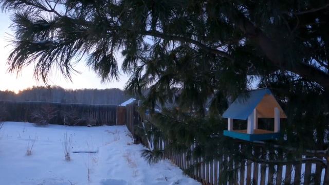 Зимняя ночёвка на даче в -30°С смотреть онлайн