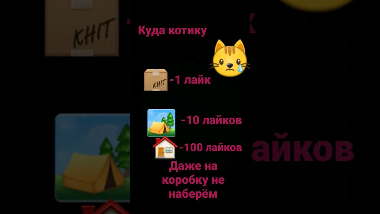 #рек #реки #котёнок смотреть онлайн