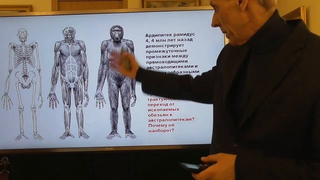 Австралопитеки потомки инопланетян. Александр Белов 9 04 2022 г. смотреть онлайн