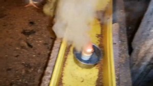 Клеодезив - йодная шашка в курятнике