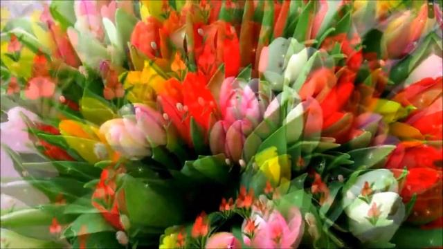 Видео открытка Поздравления С 8 МАРТА! смотреть онлайн