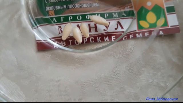 РАННЯЯ ПТАШКА ОПРАВДЫВАЕТ НАЗВАНИЕ смотреть онлайн