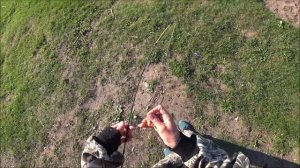 Рыбалка на донки крокодил /  Ловля леща на сало /  Прикормка своими руками для леща / День 1