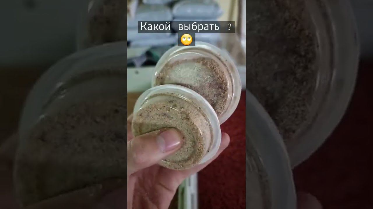 КРАСНОЕ ИЛИ БЕЛОЕ ? а какое любишь ты ... и какое рыба? #shorts смотреть онлайн