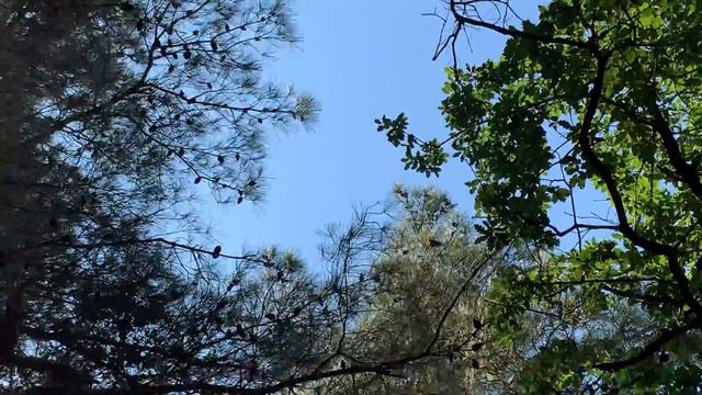 Поездка на Чёрное море Июль 2019, Дивноморское смотреть онлайн