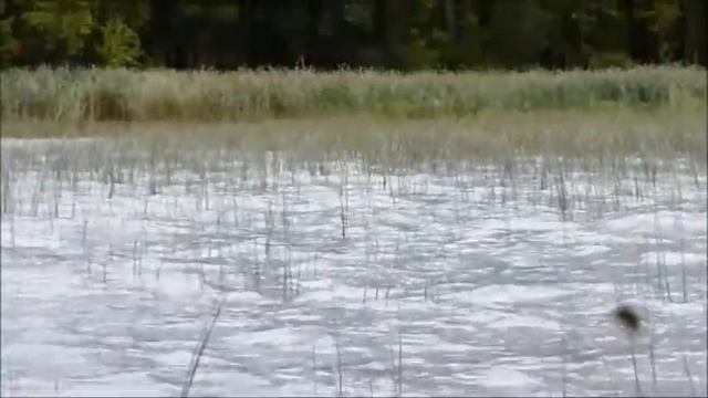 Техника проводки и ловля хищникаTopwater Bigtooth Klack Bait смотреть онлайн