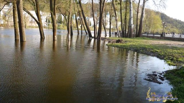 Разлилась,разлилась речка быстрая Святогорск 2018 смотреть онлайн