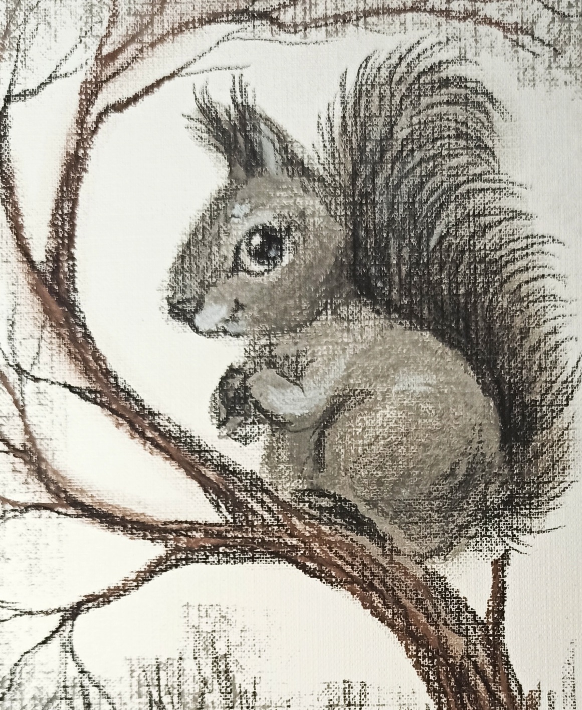 Как нарисовать белку сухой пастелью. смотреть онлайн