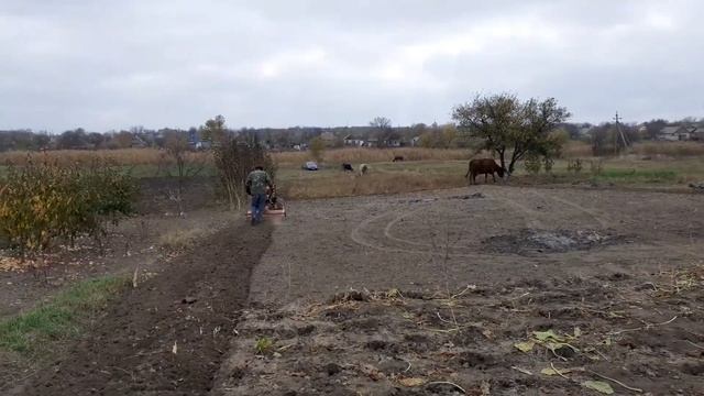 Фрезерування Огорода. Осенние Полевые Роботы? смотреть онлайн