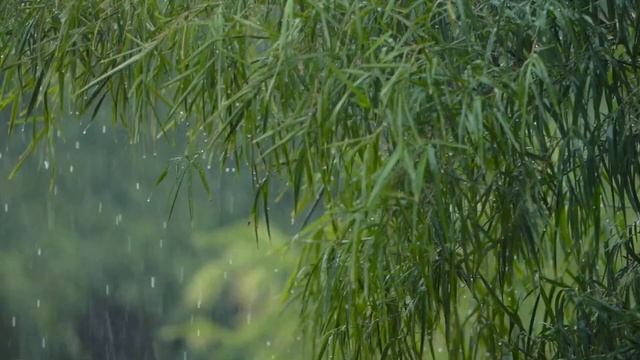 Музыка для сна и отдыха с звуками дождя - Music for Sleep and Relaxation with Rain Sounds смотреть онлайн