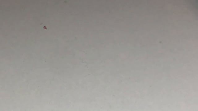 Mail 3 письма от яны гаськлвлй т амалии алексеевной смотреть онлайн